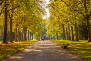 Photo of a path inside Hyde park central London